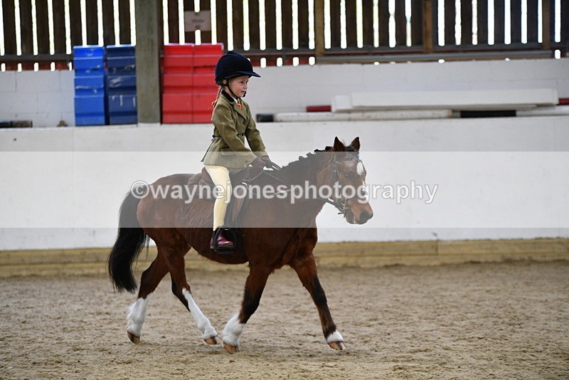 WJ5_6977 - Class 10 Childs Pony