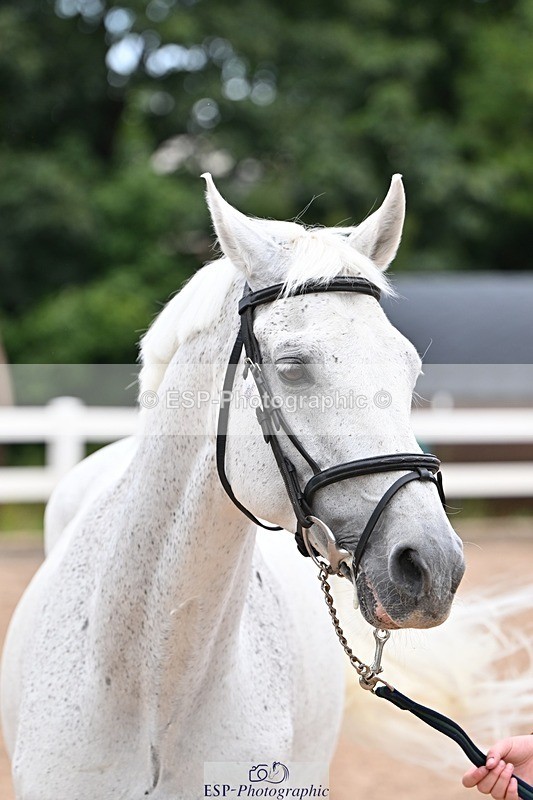 250716-140608-00913 - Trot Up 1.30 to 2.30