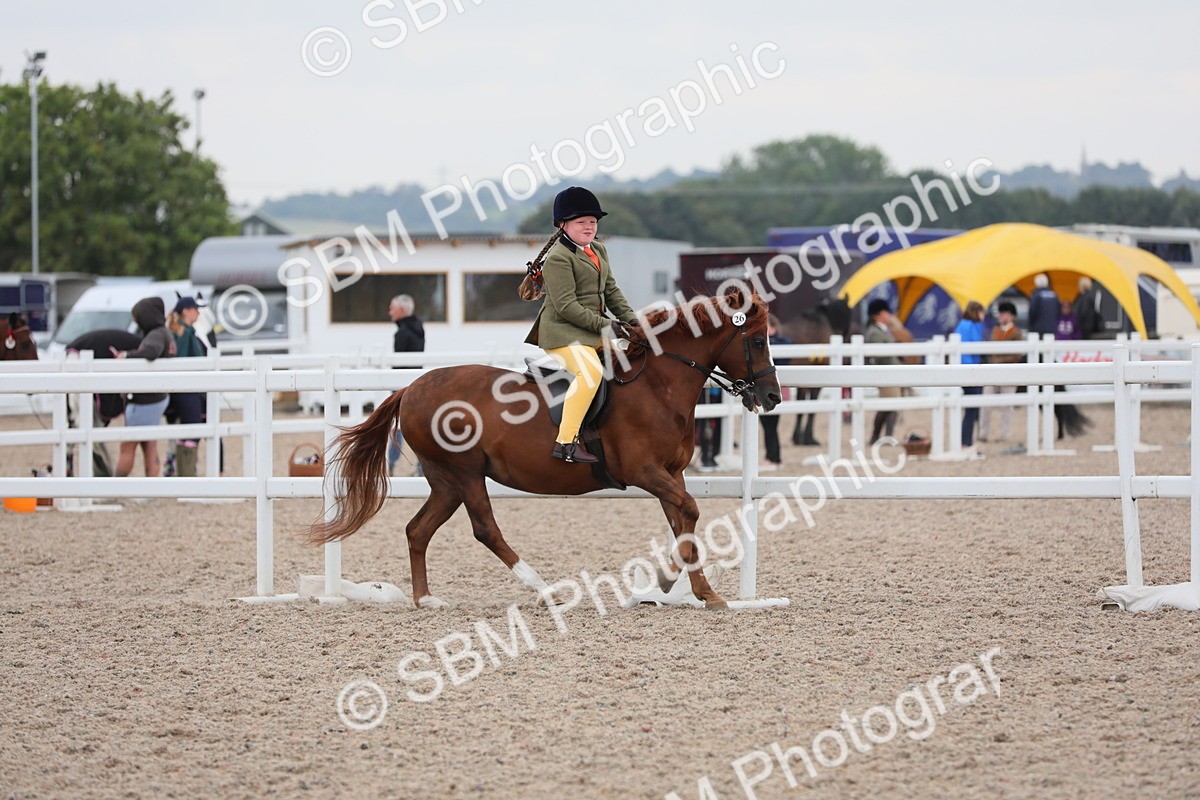 SBM_18171 - Class 316 Best Pony/Rider Combination