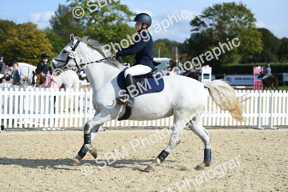 SBM_61639 - j25 - Junior Horse 80cm Championship