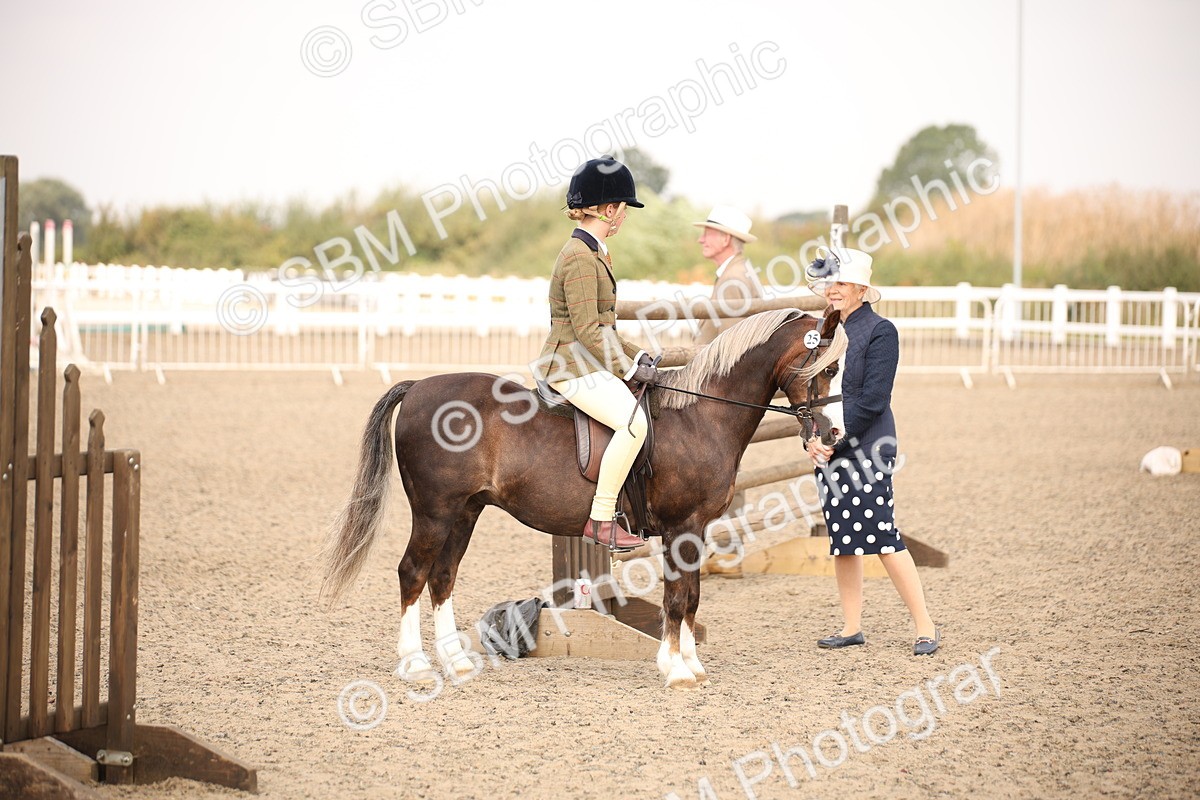 SBM_11684 - Class 404b Junior Working Veteran- 40cm(20+)