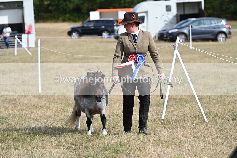WJ7_8035 - In-hand Championship