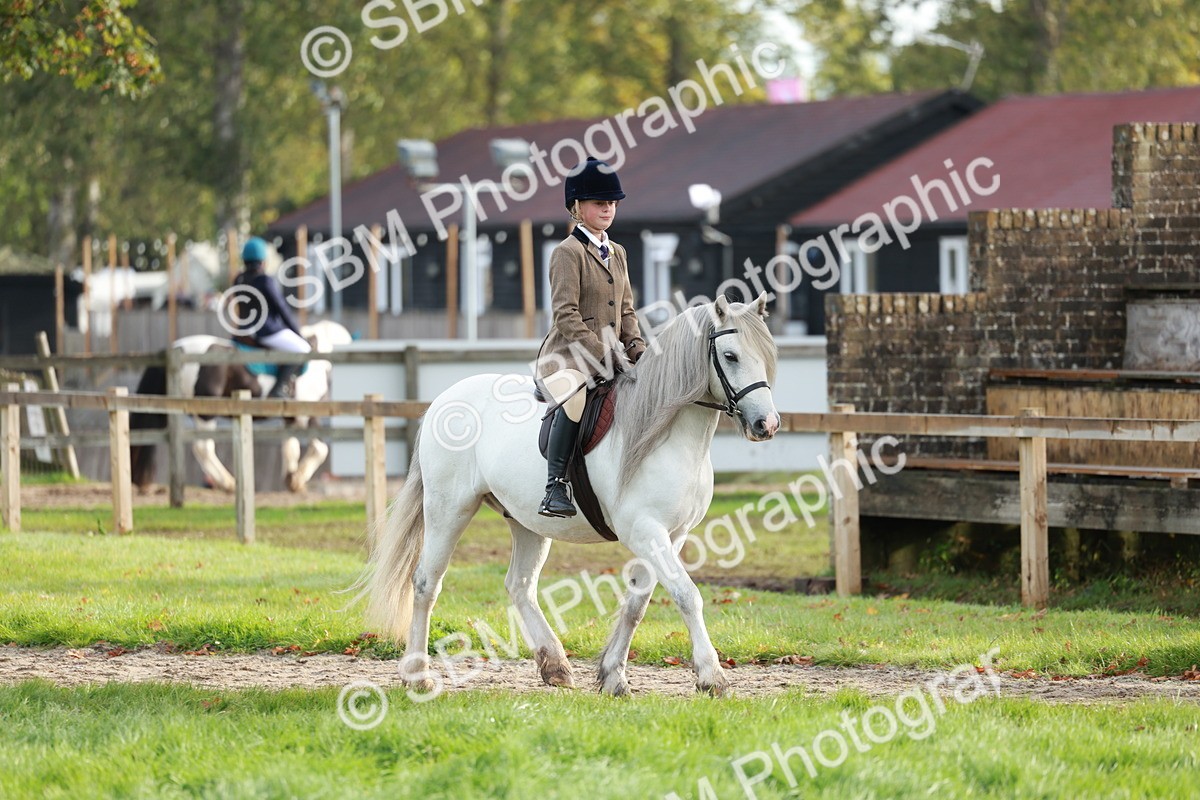 SBM_56346 - S39 - Starters In Hand Showing