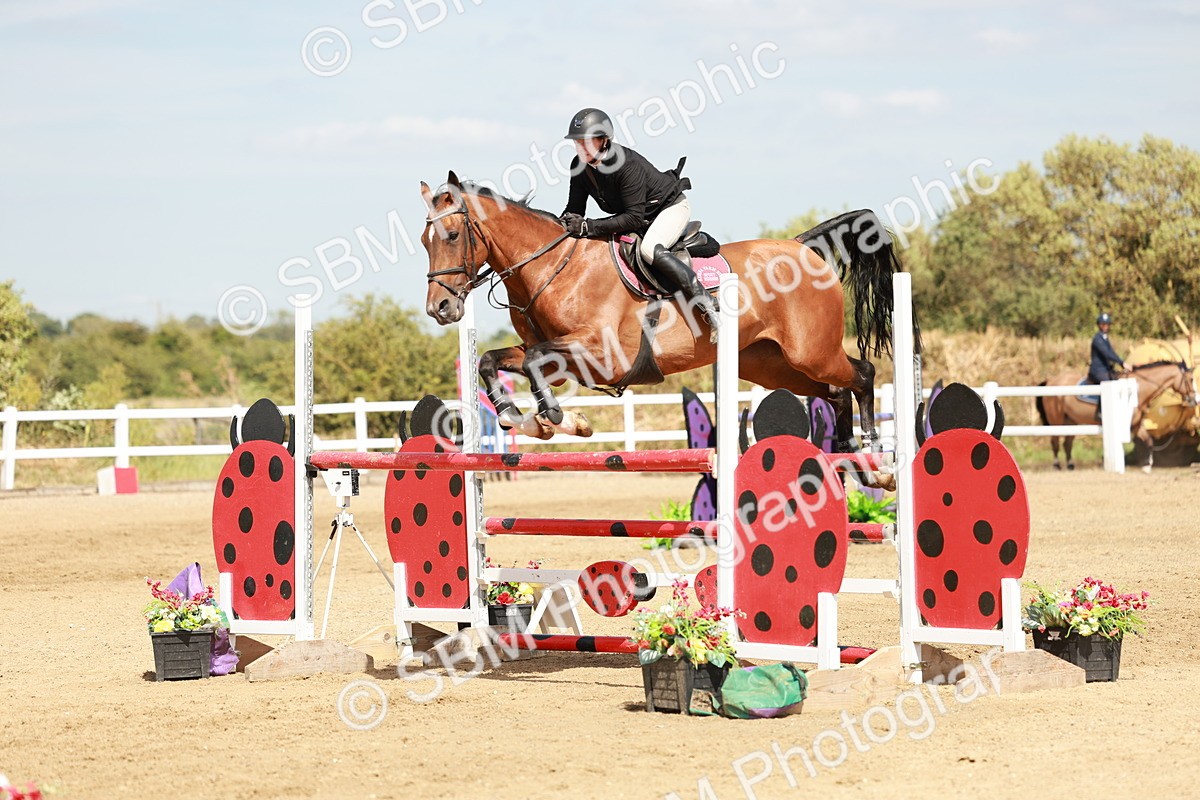 SBM_007997 - Class 4 - Senior Foxhunter - 1.20m Open