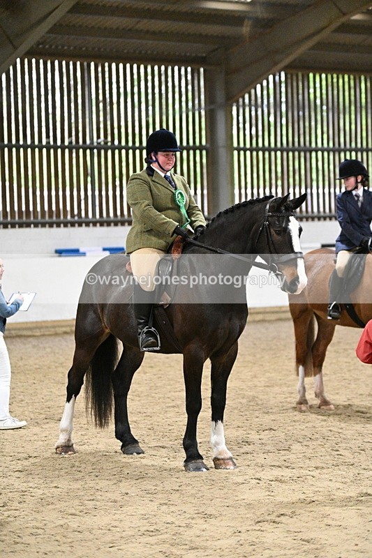 WJ7_4360 - Class 17 Ridden Cob