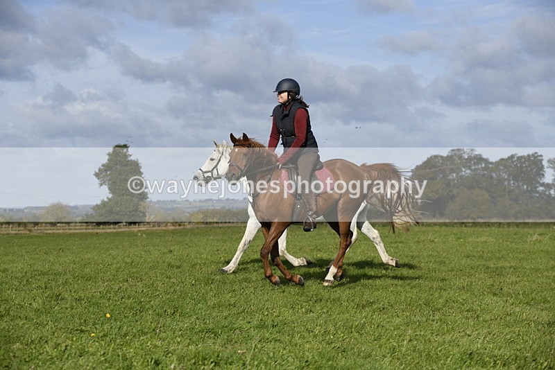 _DSC5641 - Time 10:49 to 11:23