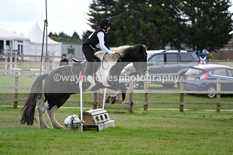 WJ7_8423 - 60cm Time 12:11 to 12:30