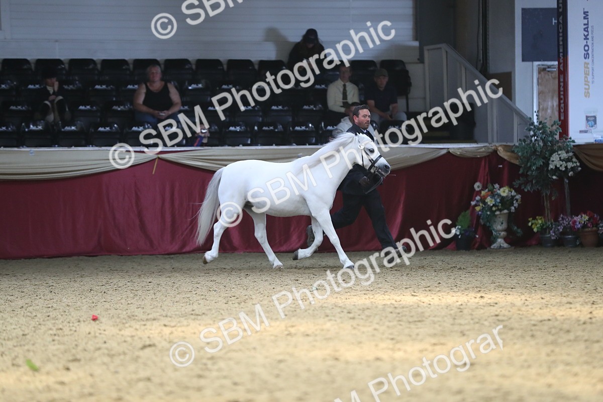 SBM_15276 - Class 501 M&M IH Supreme Final