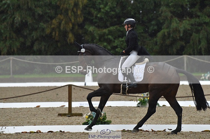 231018-154458-00868 - 012-ROMANY.CRICKET-Nana.Dalton-DR