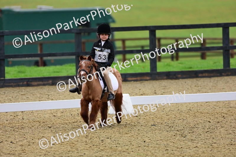 20260125-0568 - Class 9b - Walk Trot Unassisted