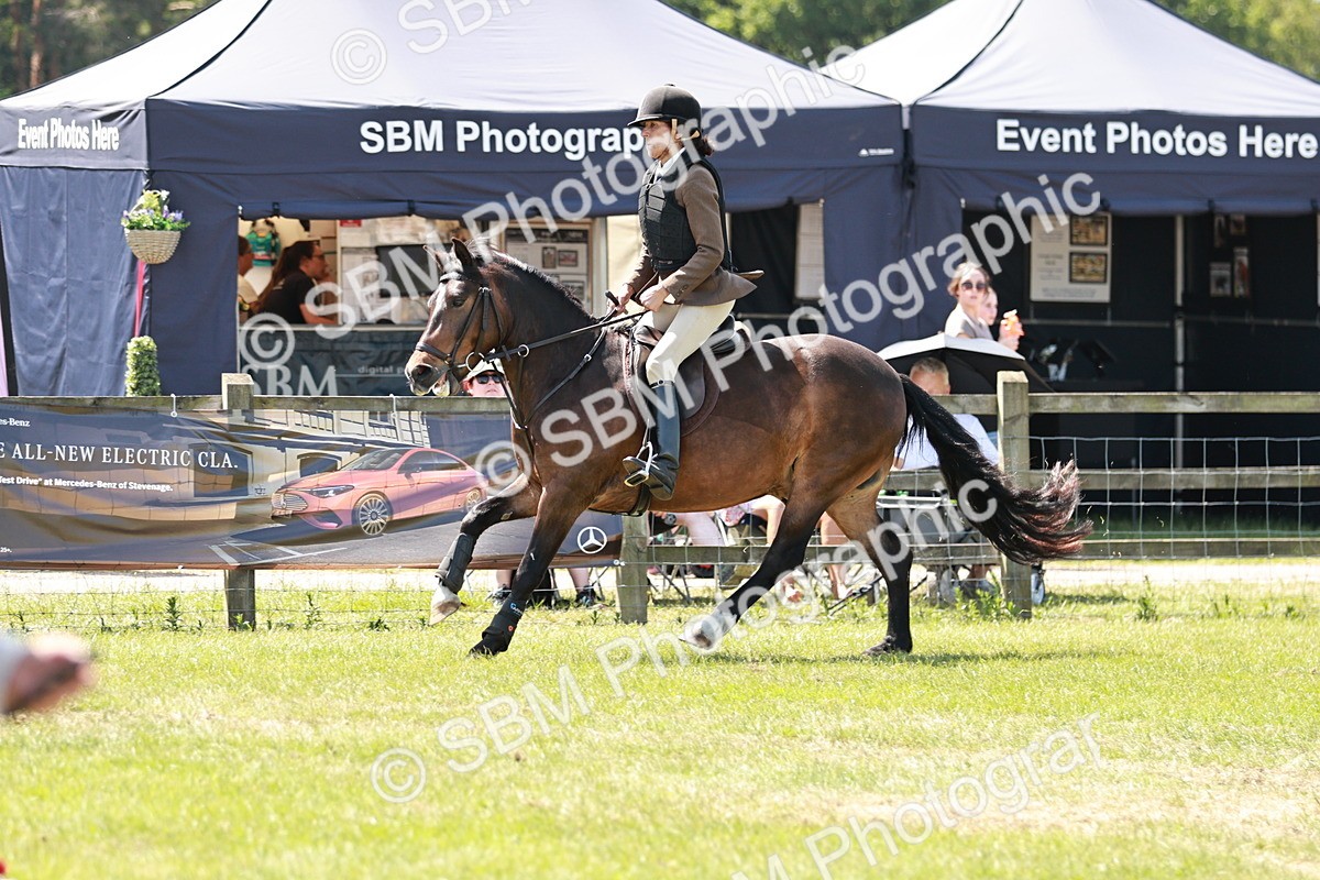 SBM_16394 - Class 110-111 - Training Stakes (70cms 80cms)