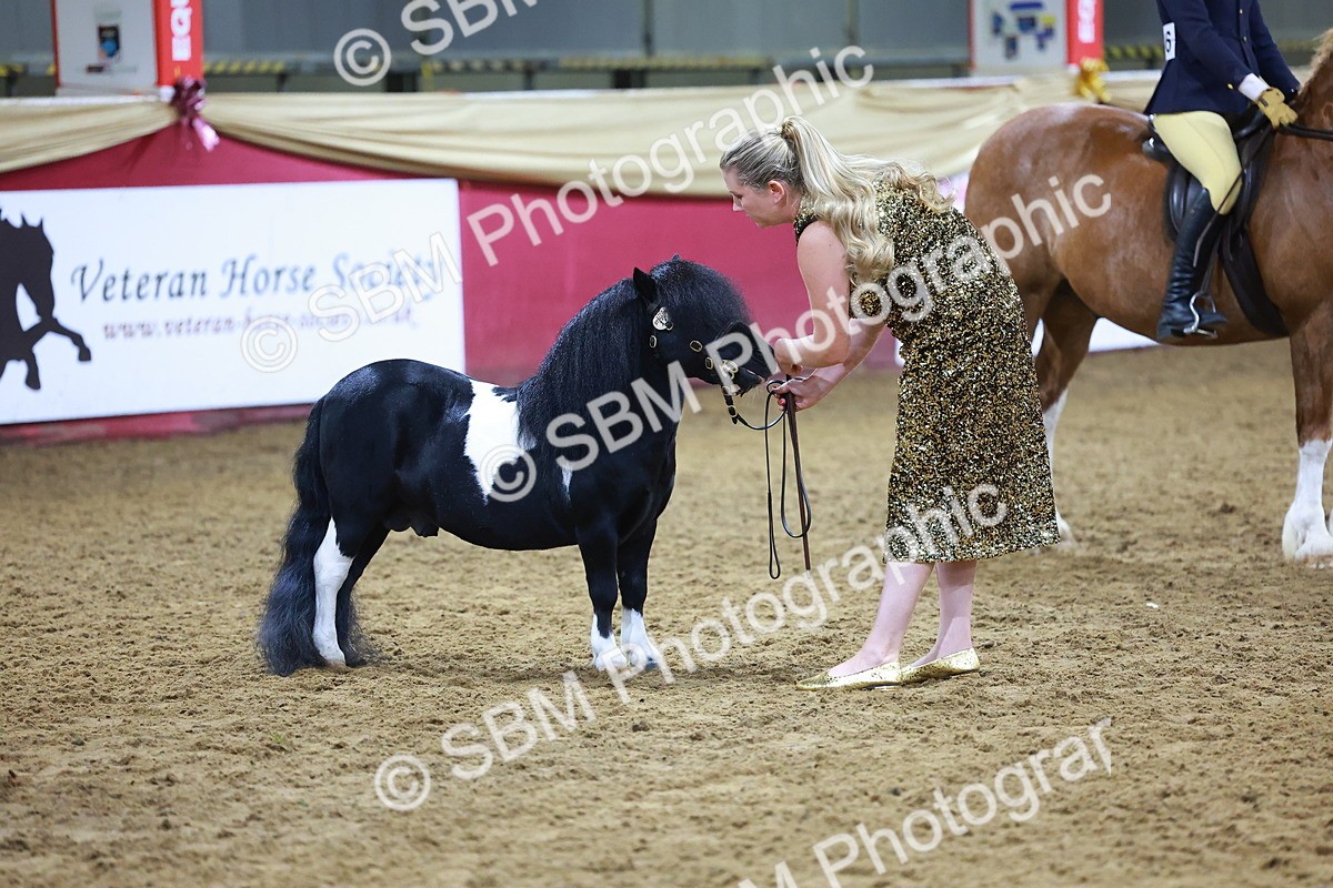 SBM_15274 - Class P - M&M Champ