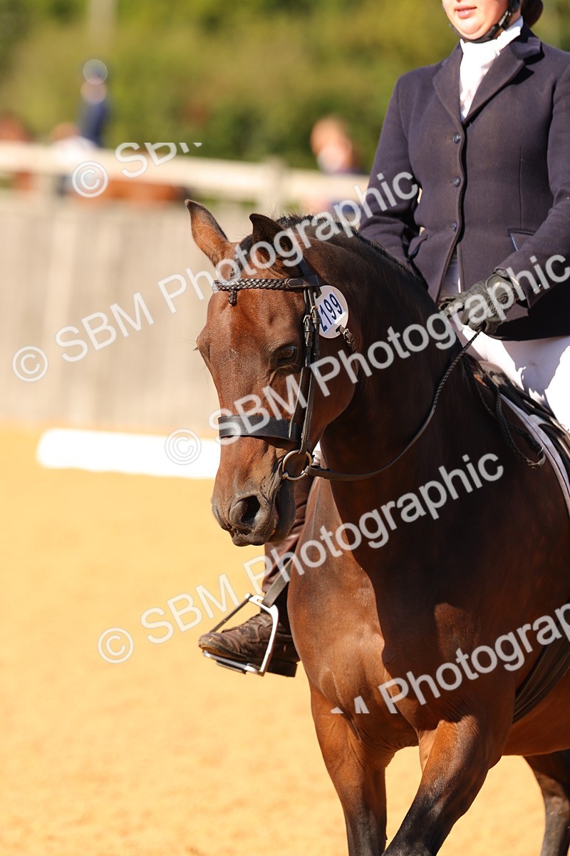 SBM_39850 - D18 - Grand Tour Championship - Novice 34