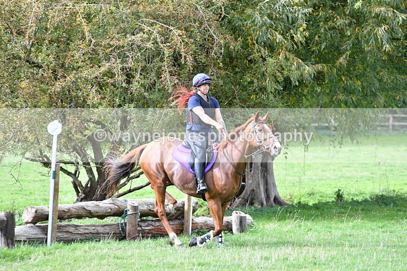 WJ5_9951 - Time 13:25 to 13:58