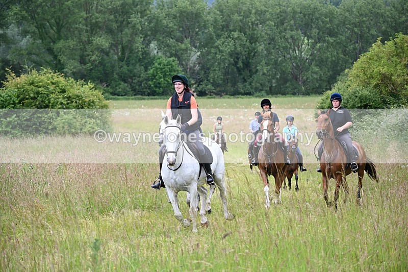 WJ6_8409 - Camera 1 Gallops