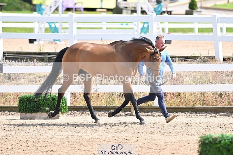 240717A-152349-02806 - Trot Up 3pm to 4pm