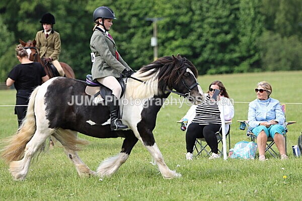 IMG_2425 - Working Hunter