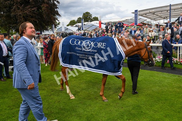250823-Race 4-Live In The Dream-0781 - Race 4 3.35pm Coolmore Wootton Bassett Nunthorpe Stakes