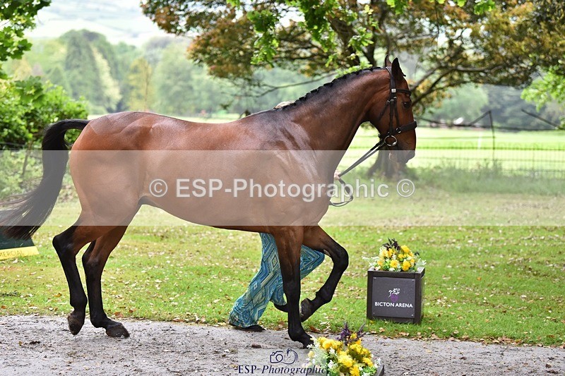 240522-160650-00724 - 154-K-Anya_Strilkowski