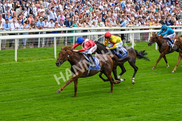 280625-Race 1-Archivist-9953 - Race 1 1.55pm Al Basti Equiworld Dubai Mile Handicap