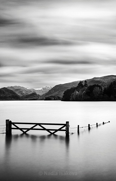  - Black & White