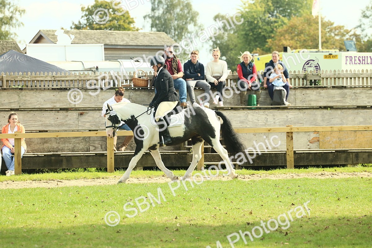 SBM_66587 - S34 - Rehabilitated Rescue Horse & Pony In Hand & Ridden