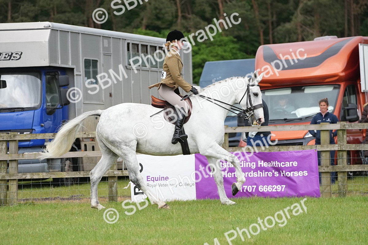 SBM_12660 - Class 97-98 - LIHS BSHA Rising Star Working Show Horse Hunter