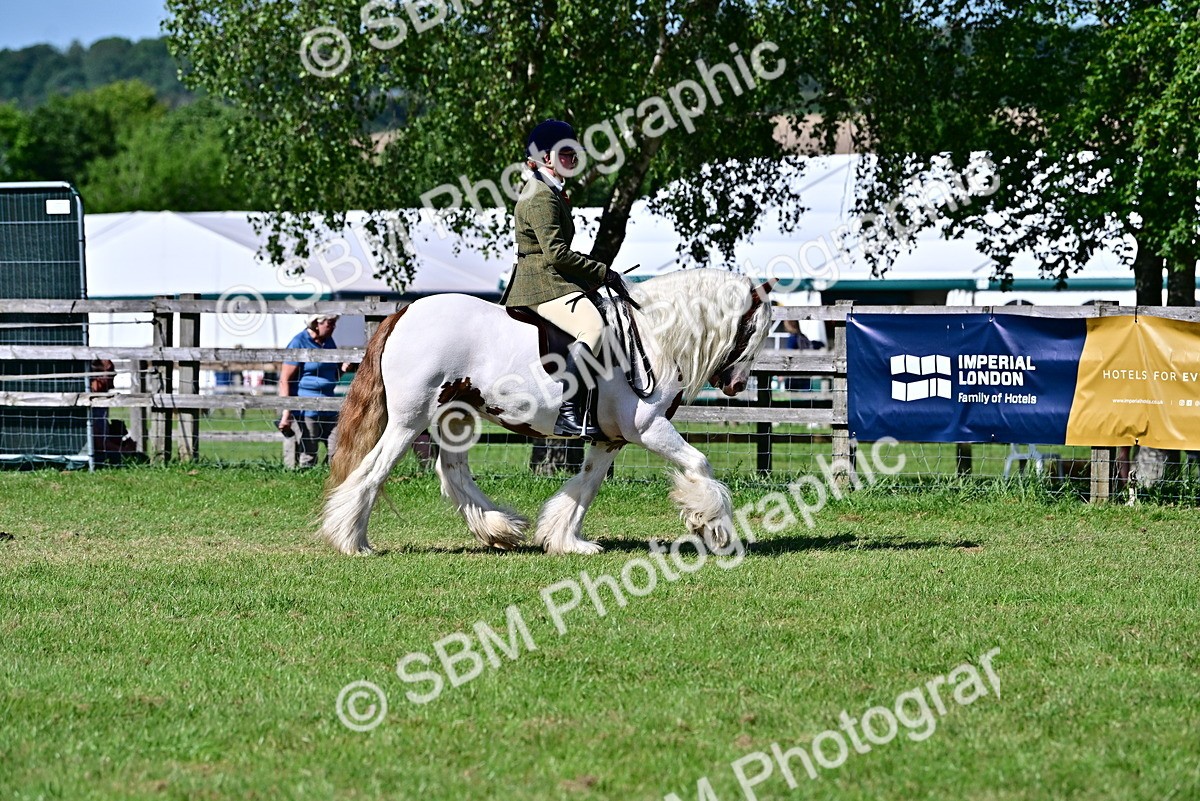 SBM_19351 - Class 101-102 - BSPS LIHS Performance Coloured Horse/Pony