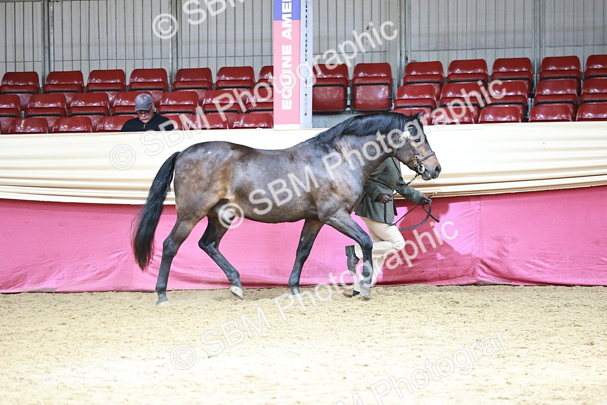 SBM_04670_Class 7r - Regional - IH Hand - Julie Moxon
