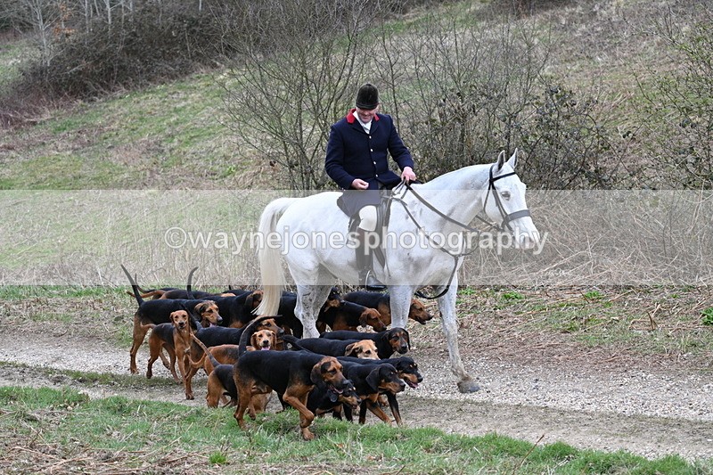 WJ7_7331 - Walk Home