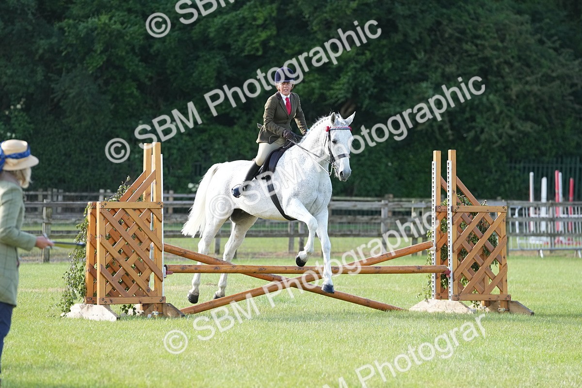 SBM_10485 - Class 97-98 - LIHS BSHA Rising Star Working Show Horse Hunter