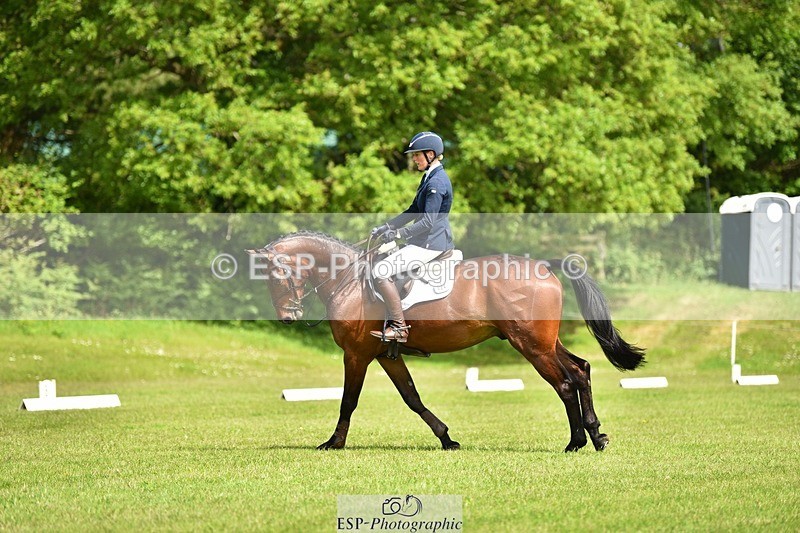 240523B-112258-01952 - 5 Year Old