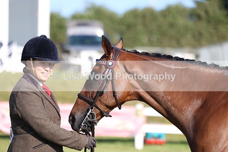 3E7A5158 - Class 1: Rising Star Small Hack/Riding Horses