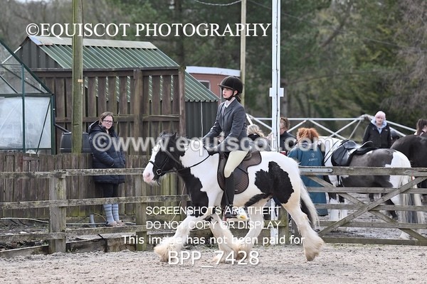 BPP_7428 - RING 1  (RIDDEN HORSES / IN HAND / VETERAN ETC)