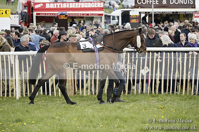 PtP 170417 115 - Old Berks Point-to-Point Lockinge 17/04/17