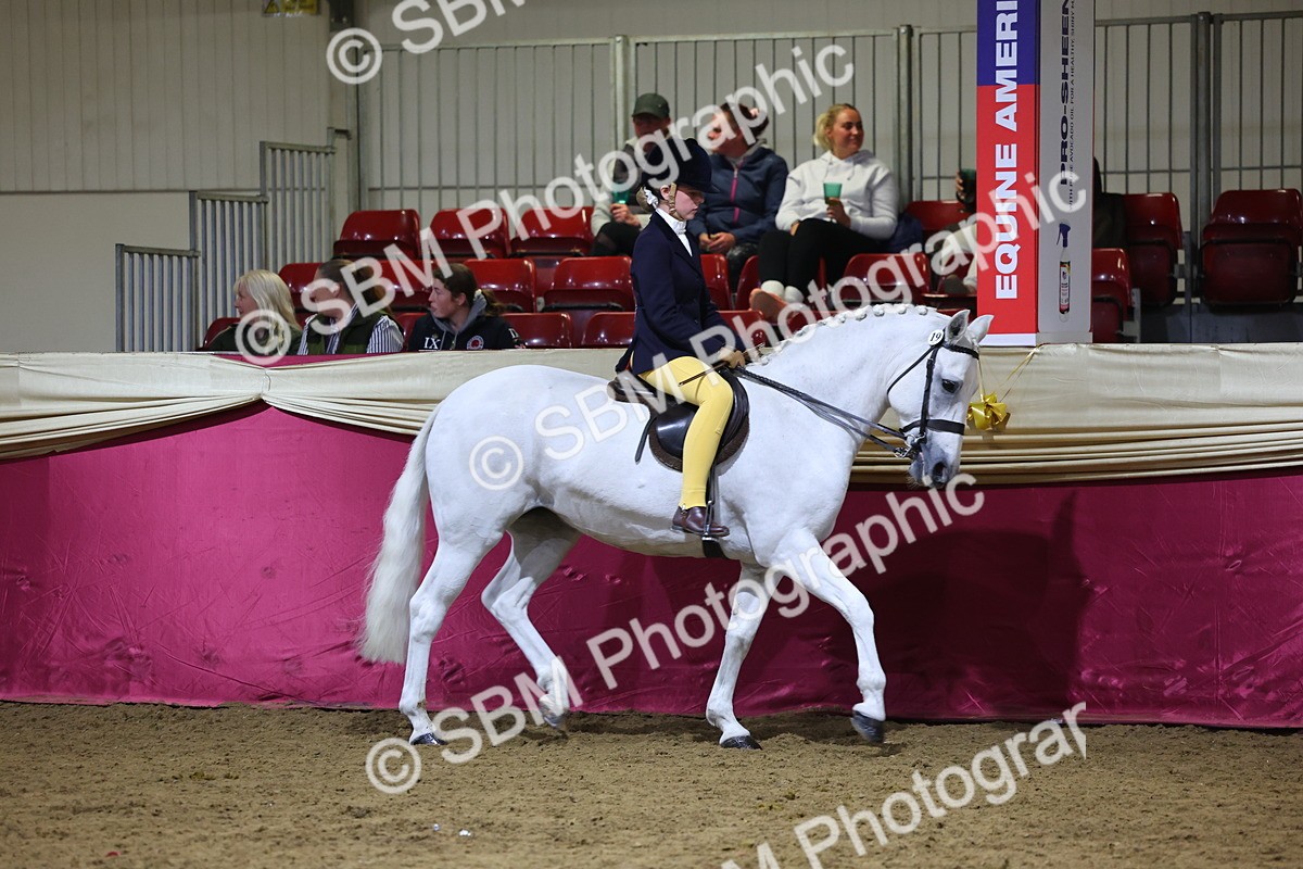 0B8A4574 - Class Q Style & Performance Champ