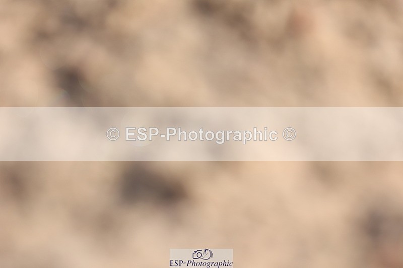 240622A-084146-06927 - Cls 24 BD Prelim 15