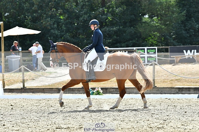 260802A-151753-07344 - Intermediate Bronze