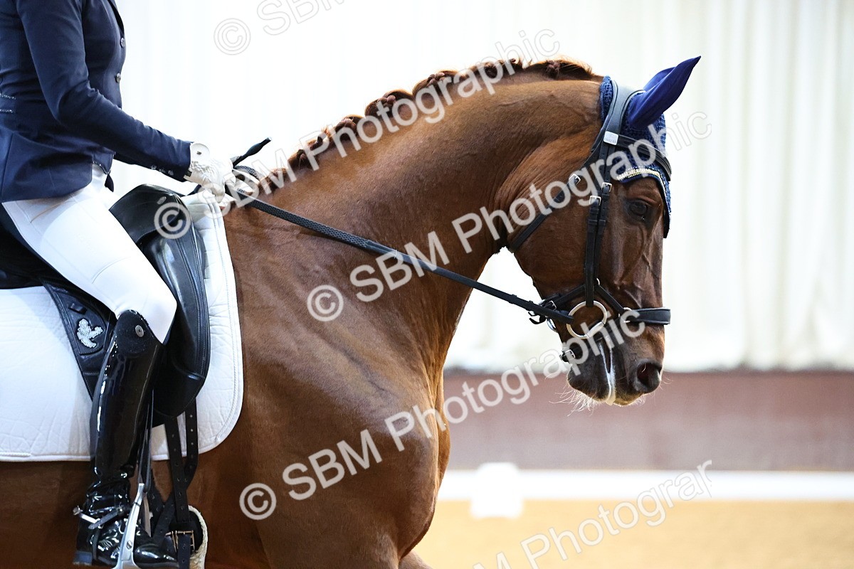 026A1149 - Class 4 - Novice 4