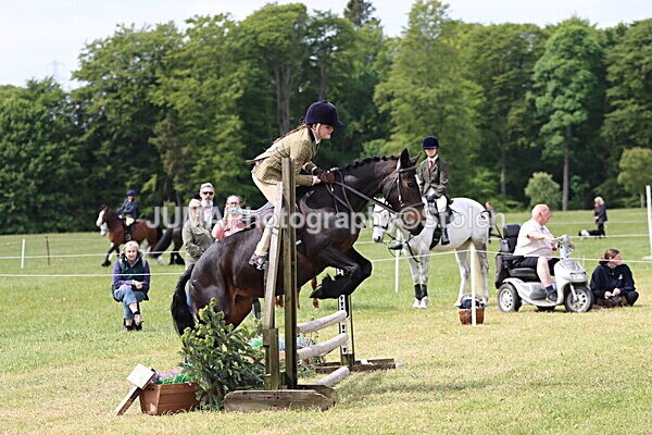 IMG_3132 - Working Hunter