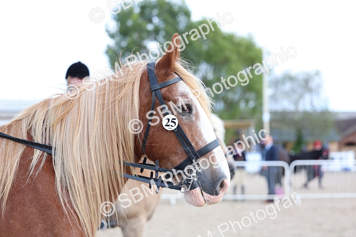 SBM_17240 - Class 315 - Best Horse - Rider Combination