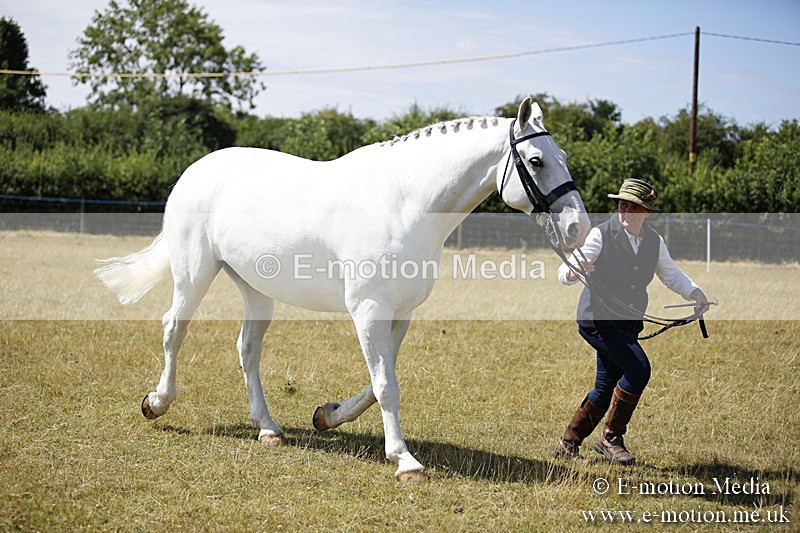 _C7A9732 - BVRC Sow 2018 Ring 2