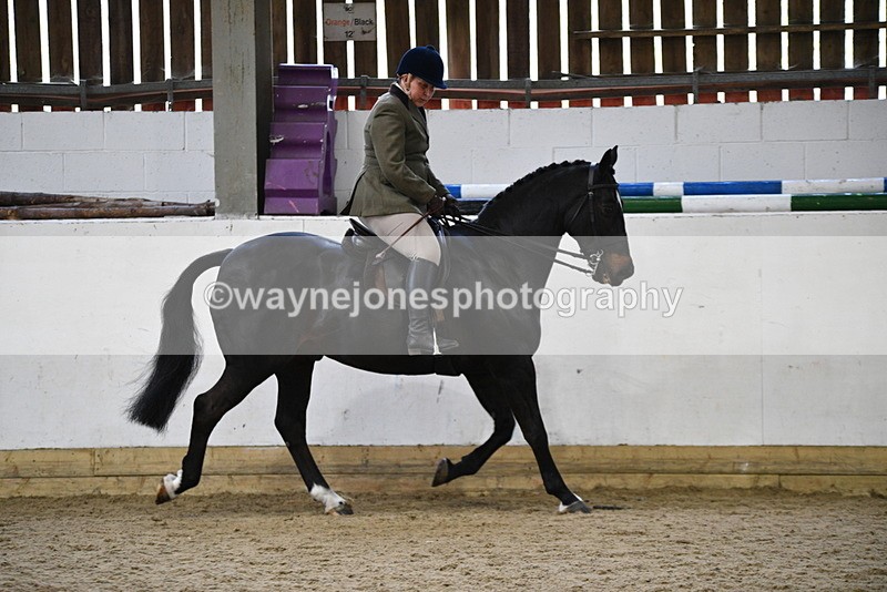 WJ5_6112 - Class 9 Ridden Veteran