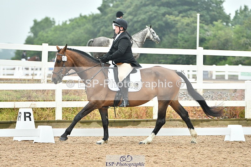 230708A-141706-02905 - Elementary 43