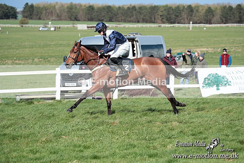 PtP 230324 593 - Tedworth Hunt PtP Larkhill Raccourse 23rd March 2024