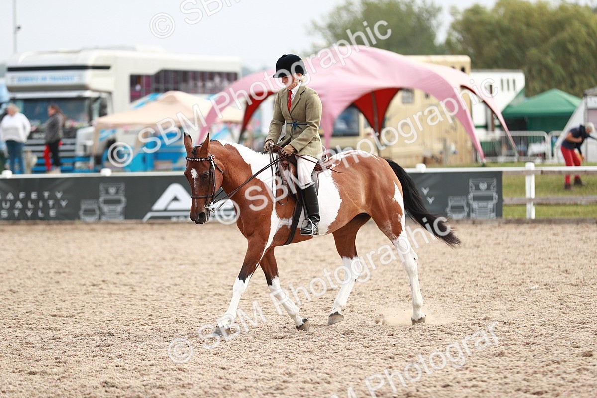SBM_17573 - Class 215 Ridden Hack/ Riding Horse