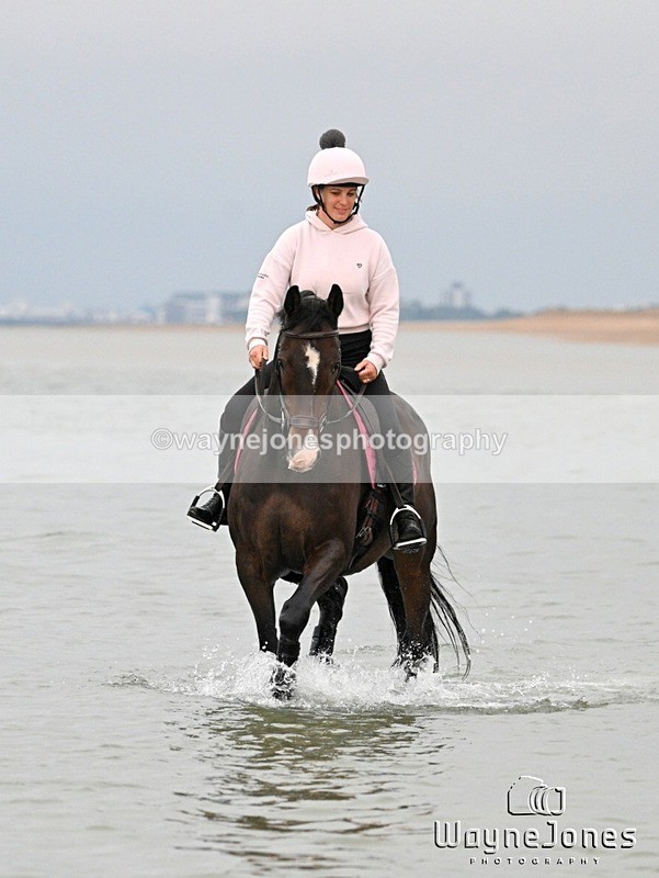 WJ7_8648 - Hayling Island Beach Shoot 22-09-24