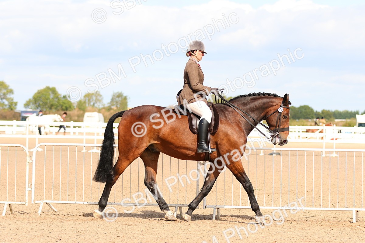 SBM_13471 - Class 212 - Ridden Hunter  - Large