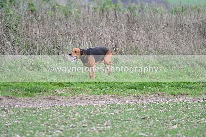 WJ7_2528 - Camera A