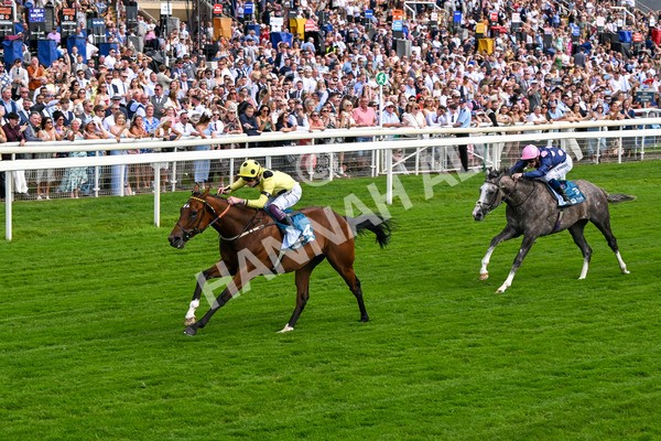 280625-Race 4-Hankelow-0522 - Race 4 3.40pm Al Basti Equiworld Dubai Novice Stakes